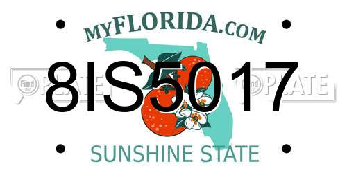 8IS5017 Florida License Plate