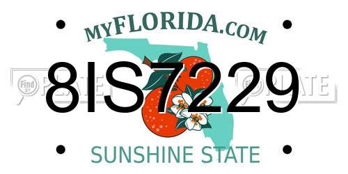 8IS7229 Florida License Plate