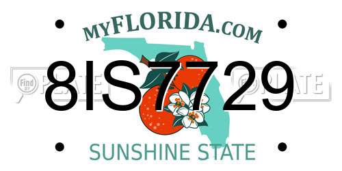 8IS7729 Florida License Plate
