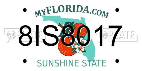 8IS8017 Florida License Plate