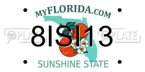8ISI13 Florida License Plate