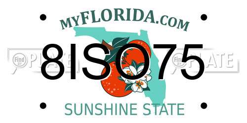 8ISO75 Florida License Plate