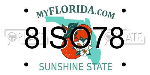 8ISO78 Florida License Plate