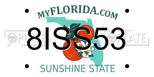 8ISS53 Florida License Plate