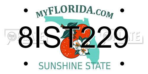 8IST229 Florida License Plate