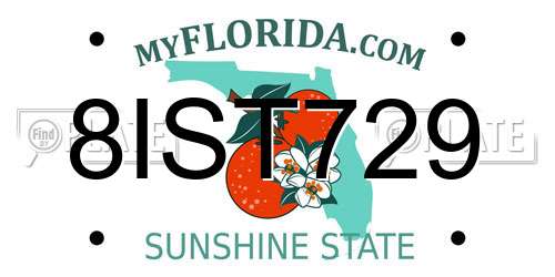 8IST729 Florida License Plate