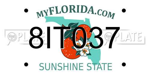 8IT037 Florida License Plate