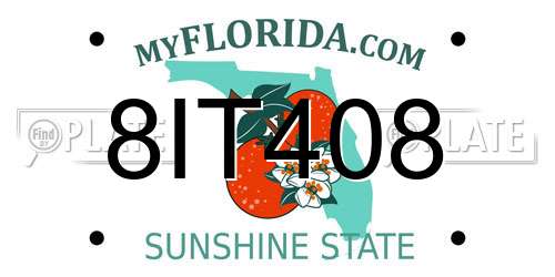 8IT408 Florida License Plate