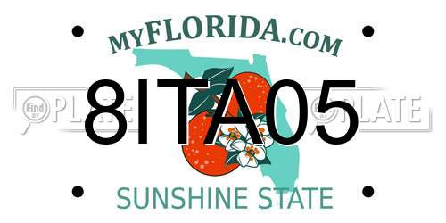 8ITA05 Florida License Plate