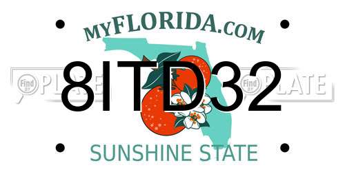 8ITD32 Florida License Plate
