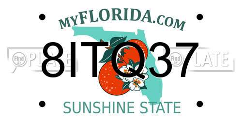 8ITQ37 Florida License Plate