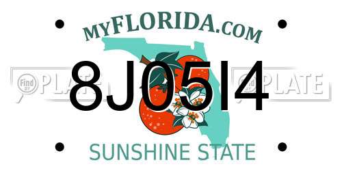 8J05I4 Florida License Plate