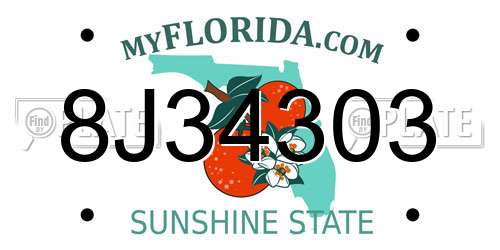 8J34303 Florida License Plate