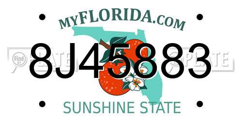 8J45883 Florida License Plate