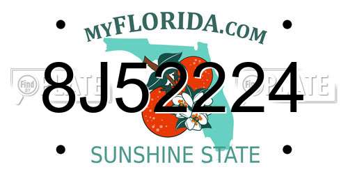8J52224 Florida License Plate