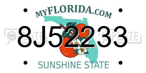 8J52233 Florida License Plate