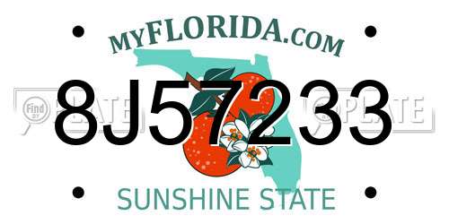 8J57233 Florida License Plate