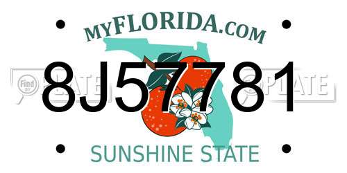 8J57781 Florida License Plate