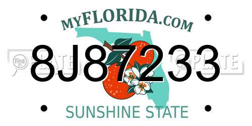 8J87233 Florida License Plate