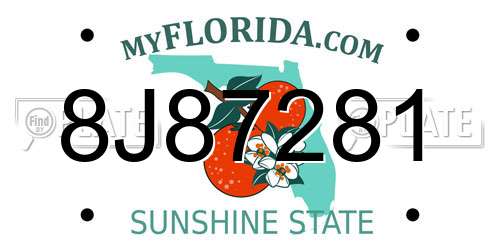 8J87281 Florida License Plate