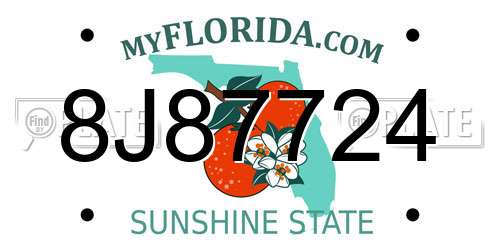 8J87724 Florida License Plate