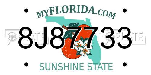 8J87733 Florida License Plate