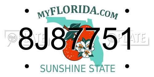 8J87751 Florida License Plate