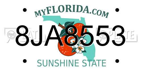 8JA8553 Florida License Plate