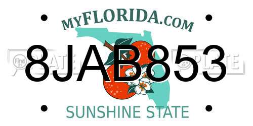 8JAB853 Florida License Plate
