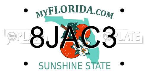8JAC3 Florida License Plate