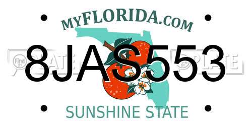 8JAS553 Florida License Plate