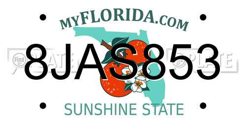 8JAS853 Florida License Plate