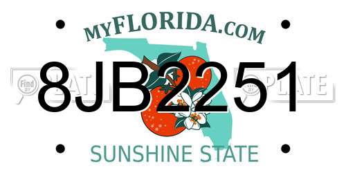 8JB2251 Florida License Plate