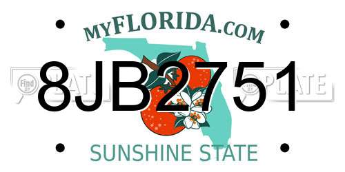 8JB2751 Florida License Plate