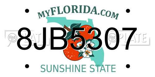 8JB5307 Florida License Plate