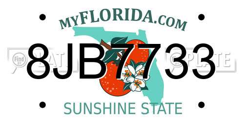 8JB7733 Florida License Plate