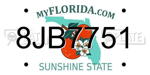 8JB7751 Florida License Plate