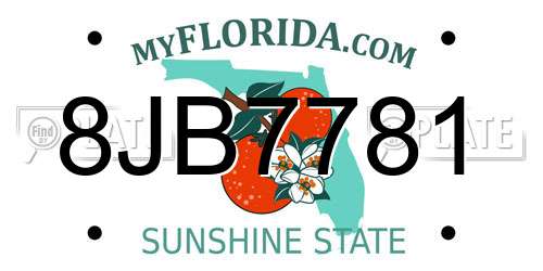 8JB7781 Florida License Plate