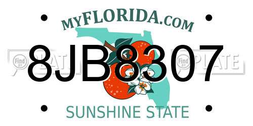 8JB8307 Florida License Plate