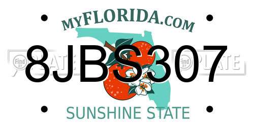 8JBS307 Florida License Plate