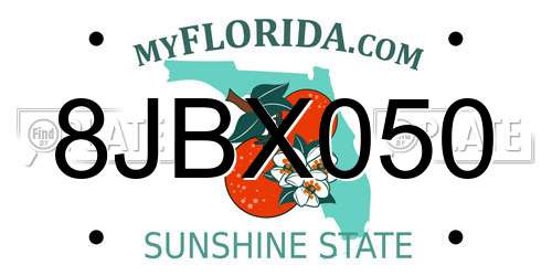 8JBX050 Florida License Plate