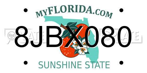 8JBX080 Florida License Plate
