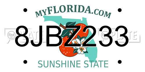 8JBZ233 Florida License Plate