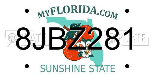 8JBZ281 Florida License Plate