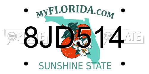 8JD514 Florida License Plate