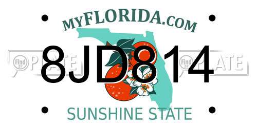 8JD814 Florida License Plate