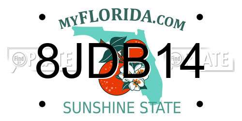8JDB14 Florida License Plate