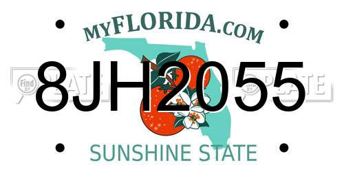 8JH2055 Florida License Plate