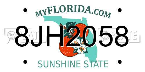 8JH2058 Florida License Plate