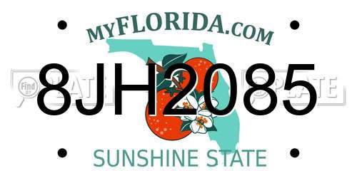 8JH2085 Florida License Plate